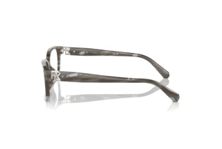 Vue latérale Ralph Lauren RL6244U (6175)