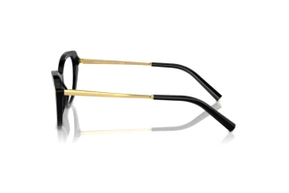 Vue latérale Ralph Lauren RL6245 (5001)