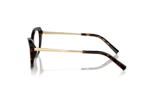 Seitenansicht Ralph Lauren RL6245 (5003)