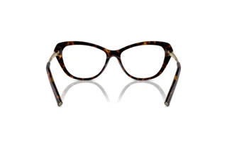 Rückansicht Ralph Lauren RL6245 (5003)