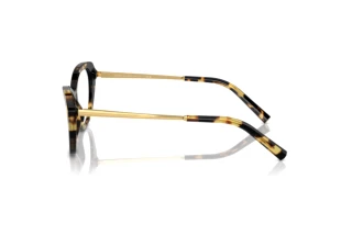 Vista laterale Ralph Lauren RL6245 (5004)
