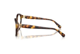 Seitenansicht Ralph Lauren RL6246U (5134)