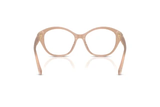 Vista posteriore Ralph Lauren RL6246U (6217)