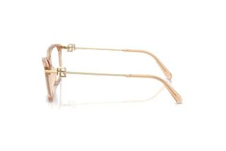 Vue latérale Ralph Lauren RL6247U (6205)