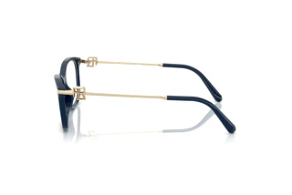 Seitenansicht Ralph Lauren RL6247U (6215)