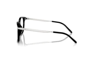 Vista laterale Ralph Lauren RL6248U (5001)