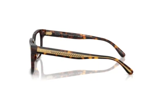 Seitenansicht Ralph Lauren RL6249U (5003)