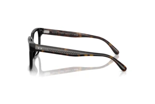 Seitenansicht Ralph Lauren RL6249U (5241)