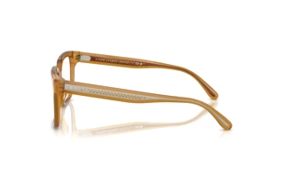 Seitenansicht Ralph Lauren RL6249U (5275)