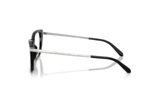Vue latérale Ralph Lauren RL6250U (5001)