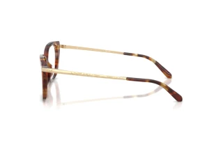 Vue latérale Ralph Lauren RL6250U (6056)