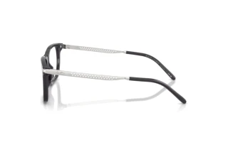 Vue latérale Ralph Lauren RL6253U (5965)