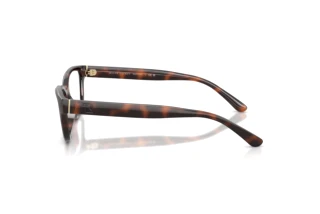 Vue latérale Ralph Lauren RL6254U (6241)