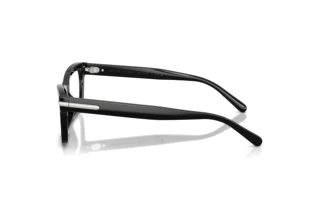 Seitenansicht Ralph Lauren RL6255U (5001)