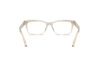 Vue arrière Ralph Lauren RL6255U (6112)