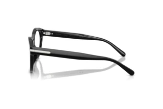 Vue latérale Ralph Lauren RL6256U (5001)
