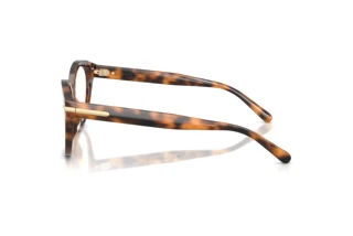 Vista laterale Ralph Lauren RL6256U (6089)