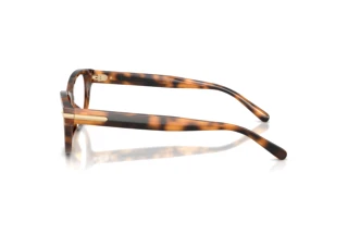 Seitenansicht Ralph Lauren RL6257U (6089)