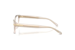 Vista laterale Ralph Lauren RL6257U (6112)