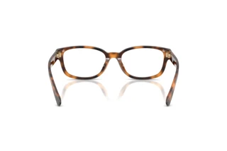 Vue arrière Ralph Lauren RL6261U (6089)