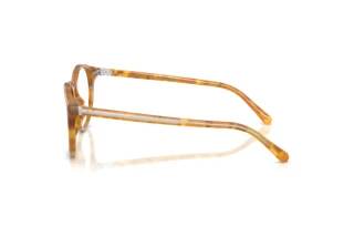 Vue latérale Ralph Lauren RL6263U (6185)
