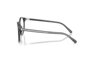 Vue latérale Ralph Lauren RL6263U (6347)