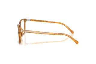 Vue latérale Ralph Lauren RL6264U (6185)