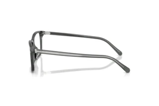 Vue latérale Ralph Lauren RL6264U (6347)