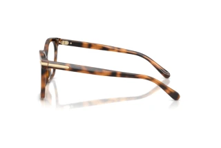 Seitenansicht Ralph Lauren RL6266U (6089)