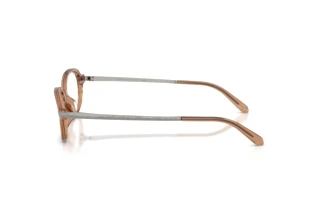Seitenansicht Ralph Lauren RL6269U (6377)