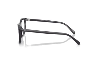 Seitenansicht Ralph Lauren RL6270U (5965)