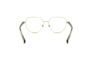 Vue arrière Ralph RA6065 (9494)