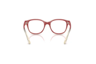 Rückansicht Ray-Ban Kids RY1950 (7204)