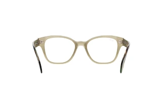 Vue arrière Ray-Ban RX0880 (8178)