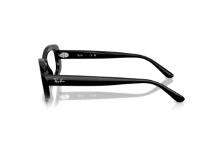 Seitenansicht Ray-Ban RX2221V (2000)