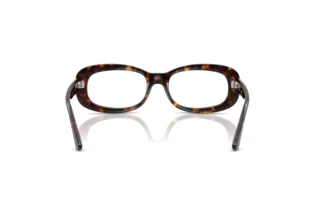 Vue arrière Ray-Ban RX2221V (2012)