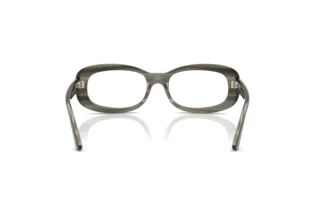 Vista posteriore Ray-Ban RX2221V (8453)