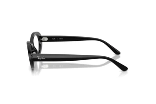 Vue latérale Ray-Ban RX2223V (2000)