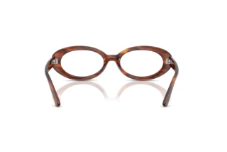 Vue arrière Ray-Ban RX2223V (2144)