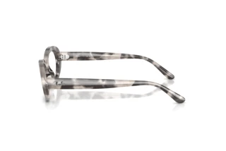 Vista laterale Ray-Ban RX2223V (8480)