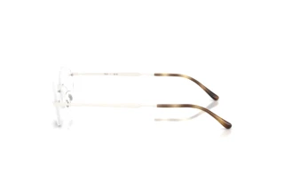 Vue latérale Ray-Ban RX3767V (3205)