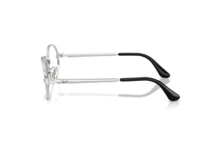 Vue latérale Ray-Ban RX3931V (2501)