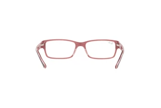 Vue arrière Ray-Ban RX5169 (8120)