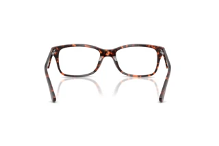 Vue arrière Ray-Ban RX5228 (8423)