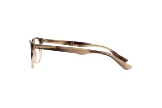 Vue latérale Ray-Ban RX5375 (8107)