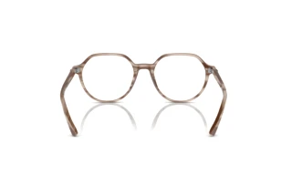 Vue arrière Ray-Ban THALIA (RX5395 - 8357)