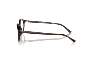 Seitenansicht Ray-Ban GERMAN (RX5429 - 2012)