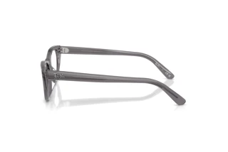 Vue latérale Ray-Ban RX5449D (8268)