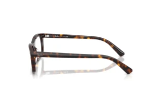 Vue latérale Ray-Ban RX5450 (2012)