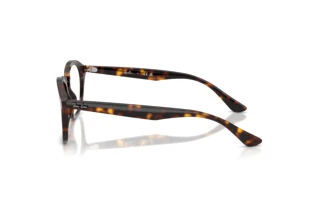 Vista laterale Ray-Ban RX5451 (2012)
